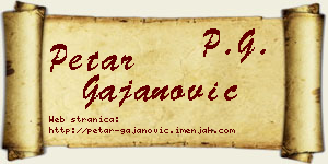 Petar Gajanović vizit kartica